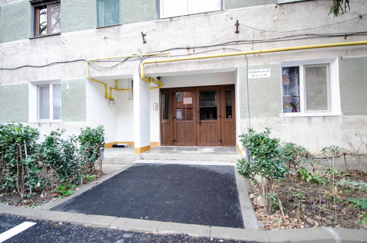 Miha Modern And Central Apartament Arad Exterior photo